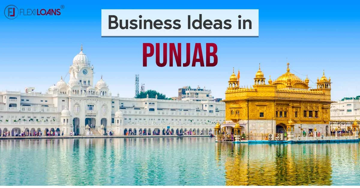 Small Business Ideas in Punjab